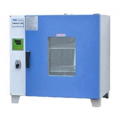 GZX-DH300-BS电热恒温干燥箱